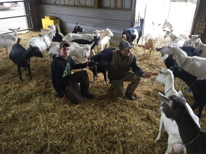 When math lessons at a goat farm beat sitting behind a desk | Parents ...