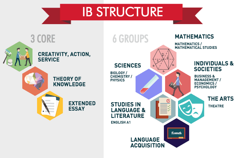 Ib сколько лет