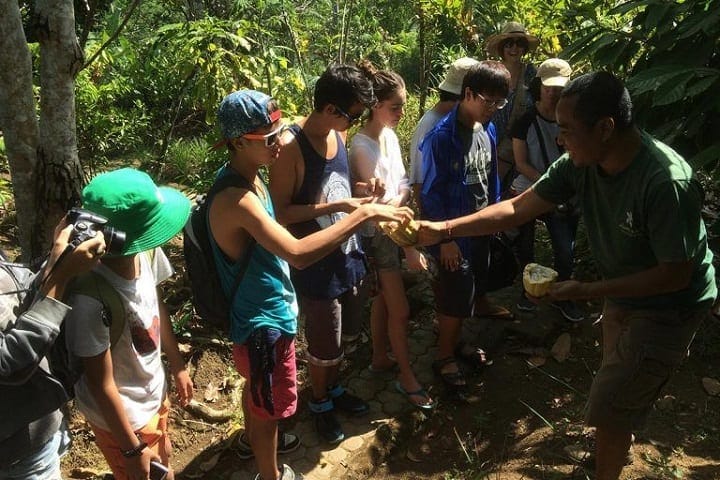 Green Shoots International School - Field Trip