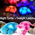 Twilight Turtle + Ladybug