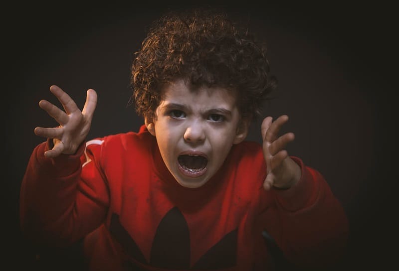 8 Steps to Address Problem Behaviours in Children 1 understanding problem behaviours